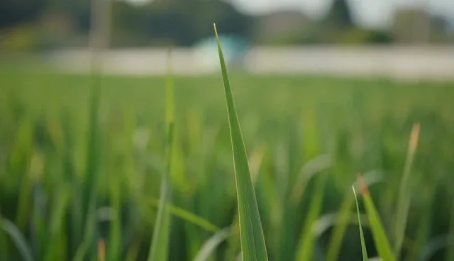 影视策划与制作中的处理方法及选型关注点